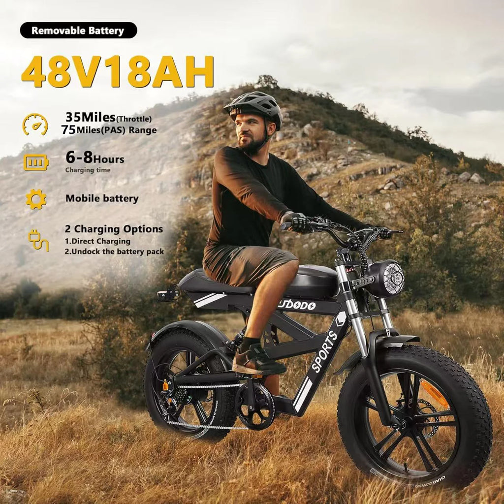 1500W Fat Tire Electric Bike