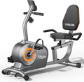 Senior Recumbent Exercise Bike (350 lb)