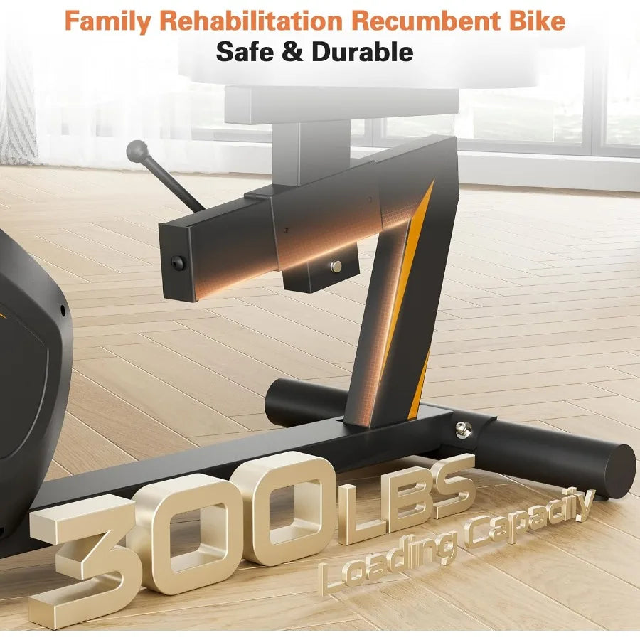 Magnetic Recumbent Exercise Bike (300 lb)