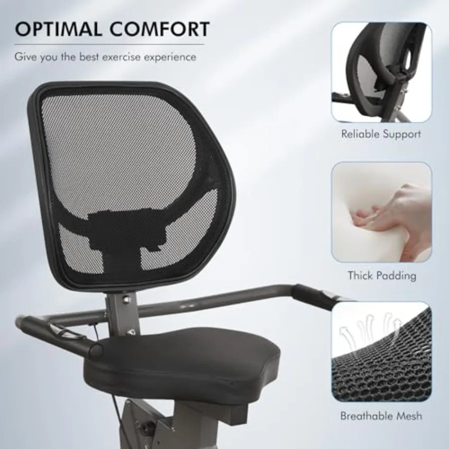 Quiet Recumbent Exercise Bike