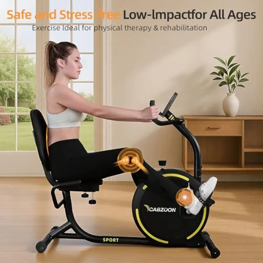 Heavy-Duty Senior Recumbent Exercise Bike