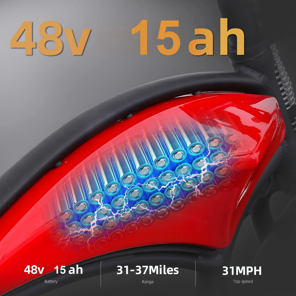 750W Dual Suspension Fat Tire E-Bike