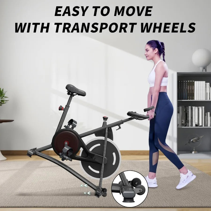 Professional Adjustable Exercise Bike
