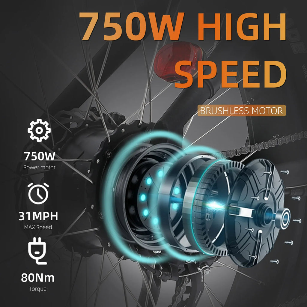 750W Dual Suspension Fat Tire E-Bike