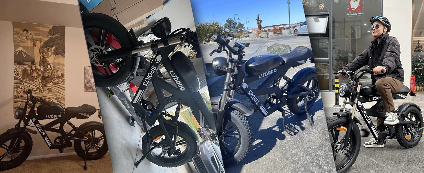 1500W Fat Tire Electric Bike