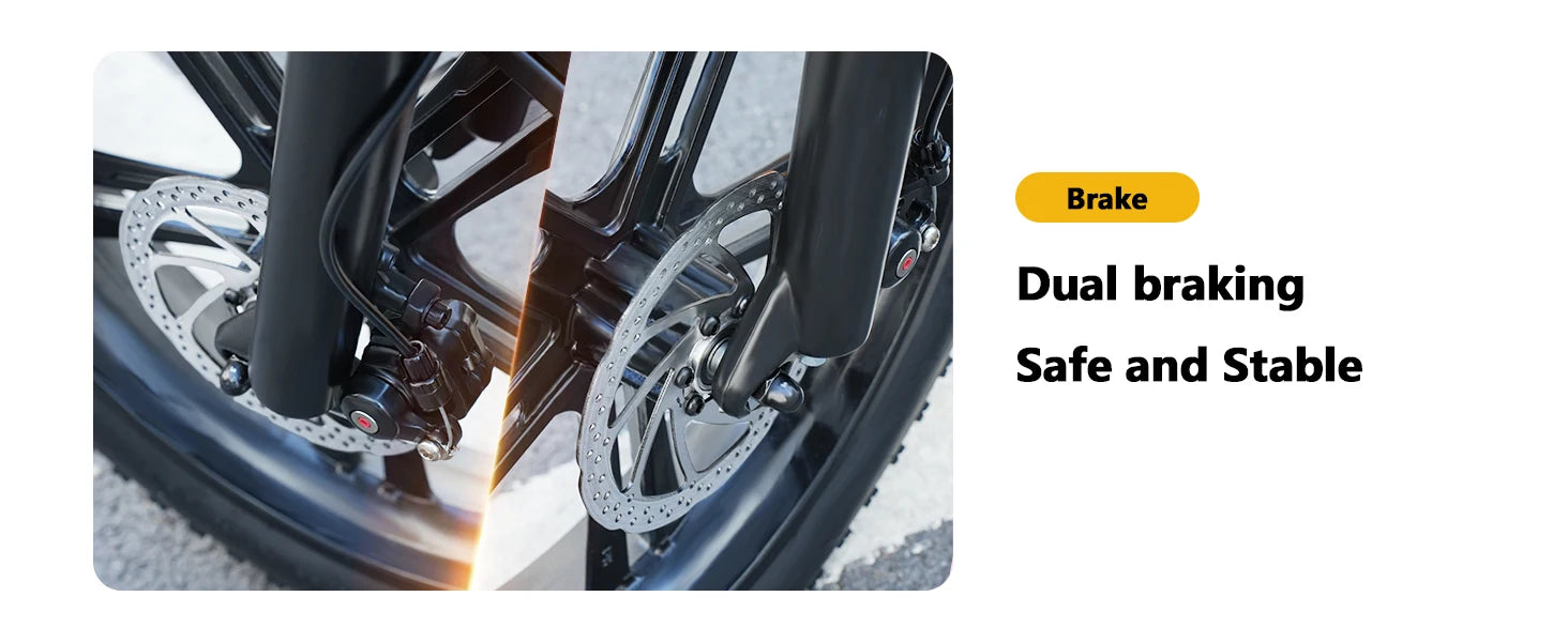 1500W Fat Tire Electric Bike