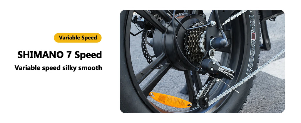 1500W Fat Tire Electric Bike