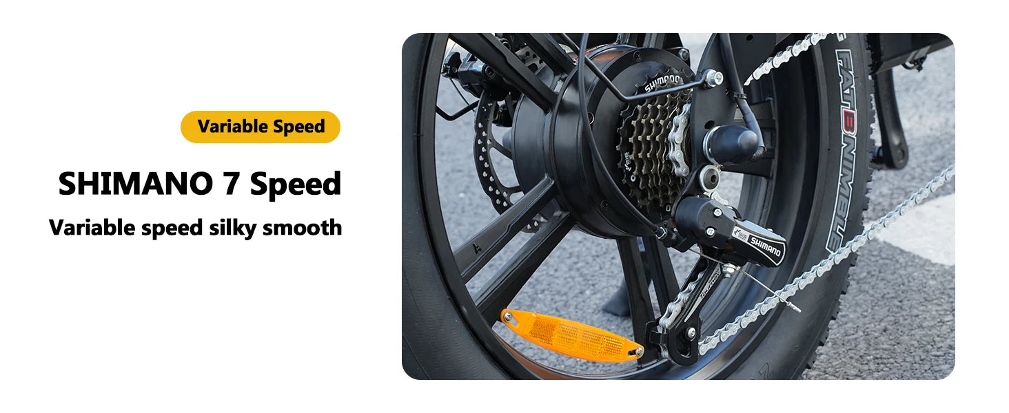 1500W Fat Tire Electric Bike