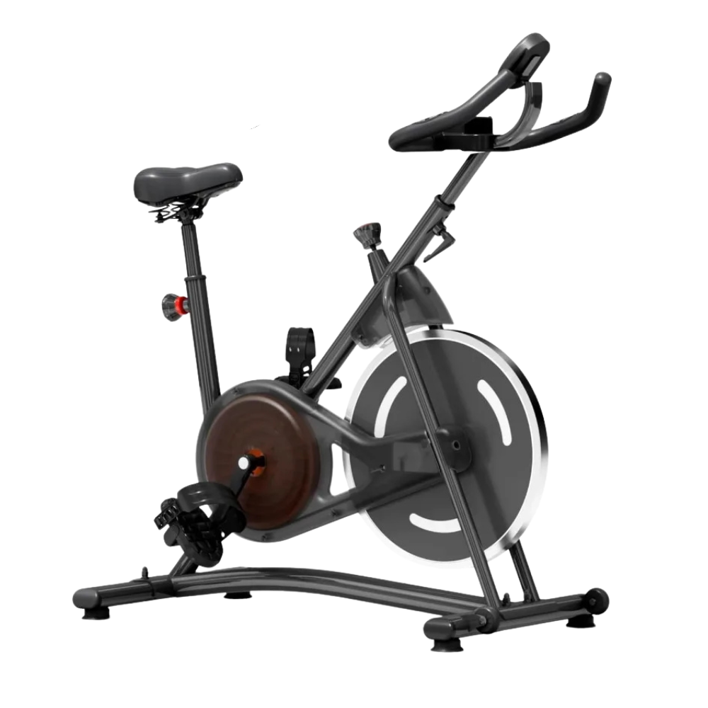 Professional Adjustable Exercise Bike